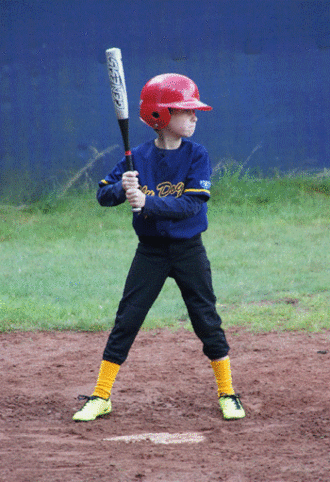 Baseball fÃ¼r SchÃ¼ler in Marl - Marl Sly Dogs